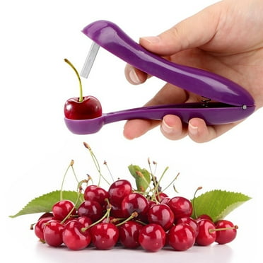 Cherry Pitter Cherry Seed Remover Olives Pitter Tool Cherries Corer Pitter Tool With Space Saving Lock Design Multi Function Fruit Pit Remover For Making Cherry Jam Walmart Com