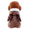 thumbnail image 2 of Methold Mascota perro cachorro Santa camisa ropa de Navidad disfraces chaqueta cálida abrigo ropa Ropa para mascotas marrón XS, 2 of 6