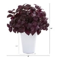 thumbnail image 2 of 14in. Basil Artificial Plant in White Planter, 2 of 2