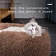 thumbnail image 2 of Camas para gatos de interior, cama lavable con forma de dona para gatos y perros, cojín de felpa suave para mascotas, base impermeable y esponjosa para perros y gatos, cama calmante y, 2 of 5