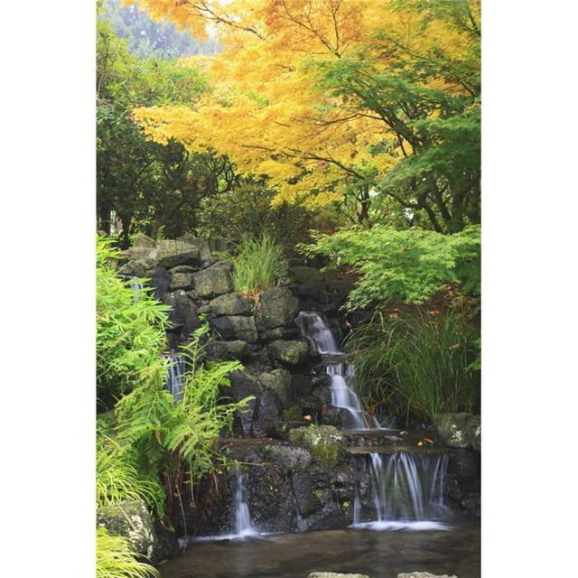 Posterazzi DPI1868394LARGE Affiche Forêt Imprimée, 24 x 38