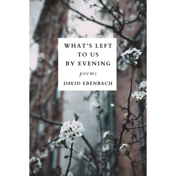 What's Left to Us by Evening (Paperback)
