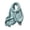 BP42_H, variant on Lumtrix Women’s Scarf Soft Fall Winter Wrap 70.87 Inch Long Lightweight Shawl with Tassel Fashion Scarves B One Size