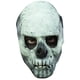 thumbnail image 1 of Máscara Glow in the Dark Skull Ghoulish Productions Halloween, 1 of 1