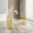 Golden+Transparent, variant on Corrosion - Resistant Steel Legs / In Modern Home Settings / Protect Floor with Anti - Slip Pads