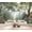 Color 3, variant on Forest Pathway Wildflowers Wallpaper Serene colorful butterflies woodland Peel and Stick Wall Murals 69"H x 96"W Removable PVC Wall Paper Self-Adhesive Wall Decor for Bedroom Living Room