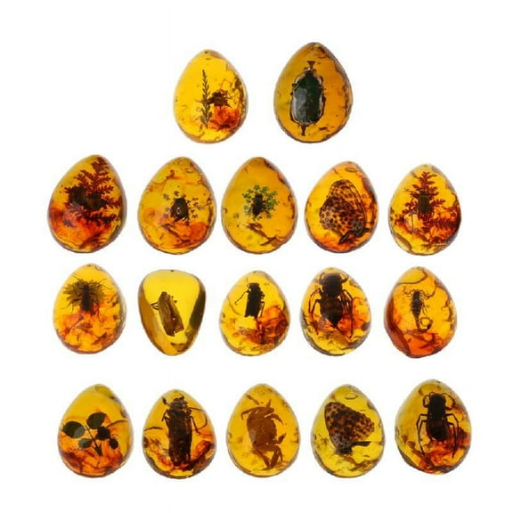 Animals Amber for Butterfly Insects Stone Pendant Necklace Gemstone for DIY Jewelry