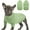 Green, variant on PayUSD Small Dog Pullover Sweater, Cold Weather Cable Knitwear, Classic Turtleneck Thick Warm Clothes for Chihuahua, Bulldog, Dachshund, Pug, Yorkie
