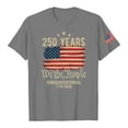 thumbnail image 3 of Lazyguy USA 250th Anniversary Celebration Printing Patterns Casual Tops for Women Loose Short Sleeve Round Neck Outdoor Activities Shirts Party Tee S-3XL Gray, 3 of 6