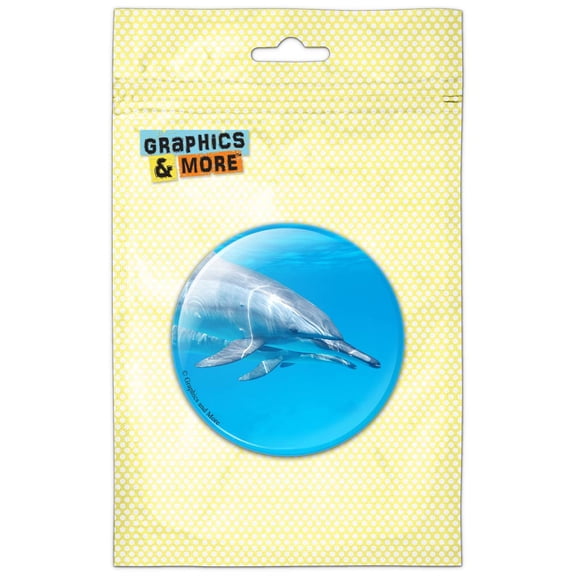 Dolphins Swimming Pinback Button Pin Badge