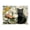Black Cat and Glass Vase, variant on Acrylic Tray Clear Serving Tray Rectangle Decorative Tray with Cut Handle Beautiful Watercolor Deer