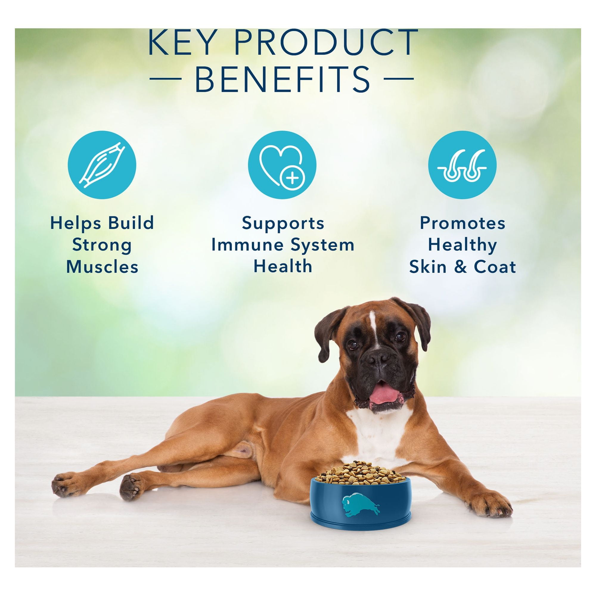 Blue freedom dog food coupons cheap