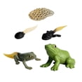 thumbnail image 1 of de juguetes de animales realistas, modelo de proceso de  en miniatura, de acción, modelo de , juguete CUTICAT Juego de crecimiento de rana para niños, 1 of 7