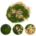 thumbnail image 2 of 1 Set Grass Terrain Powder Stone Green Fake Grass Fairy Garden Miniatures Landscape Material, 2 of 8