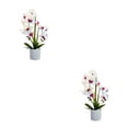 thumbnail image 1 of Kearding Bonsái artificial de amplia aplicación para decoración de fiestas y decoración del hogar Flor de planta artificial BF2312091 BF2312091 2piezas, 1 of 6