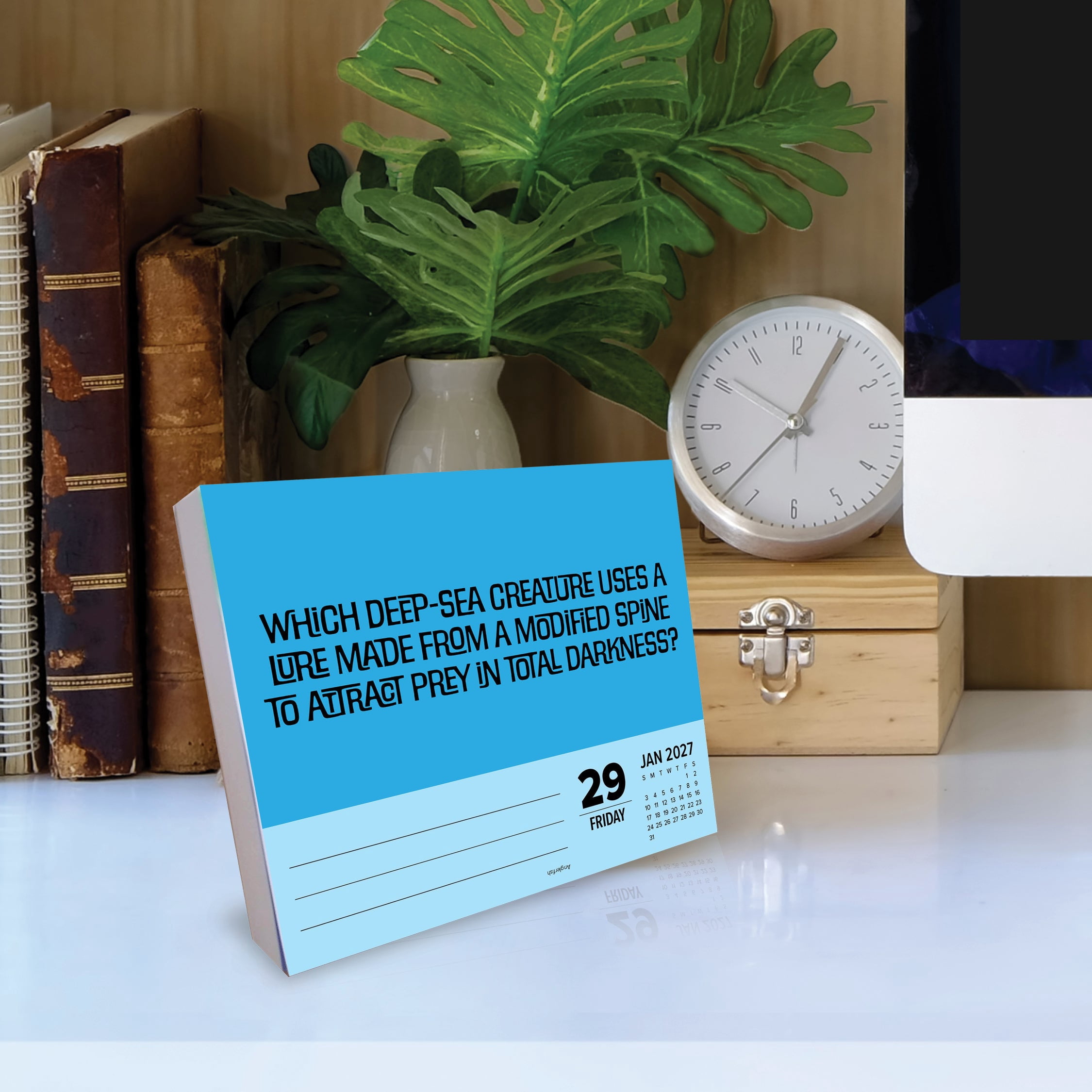 Willow Creek Press, Trivia Night 2027 Box Calendar