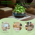 thumbnail image 5 of Lotus Bowl Planter Plants Pot:Lotus Flower Bowl, Ceramic Pots for Plants, Creative Large Caliber Bowl Lotus Seeds Planter, for Succulent Water Lilies, Lotus Bowls for Planting in Water Indoors (Green), 5 of 7