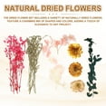thumbnail image 3 of 2 Sets Natural Dried Flower Set, Dried Pressed Flowers (Pink), 3 of 6