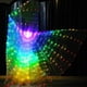 thumbnail image 3 of Fasion Led Wing Sticks Costume Egyptian Belly Dance Show Stage Fancy-dress Rave Led Light Up Wings, 3 of 3