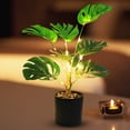 thumbnail image 3 of Peggybuy Simulated Green Plants Light USB Plug LED Plant Shape Light for Home Living Room, 3 of 9