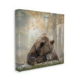 thumbnail image 3 of Stupell Autumn Slumber Brown Bear Foliage Animals & Insects Photography Gallery Wrapped Canvas Print Wall Art, 3 of 7