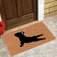 thumbnail image 2 of French Doormat for Dog Lovers Non- Large Entryway Rug Outdoor Indoor Welcome Mat, 2 of 4