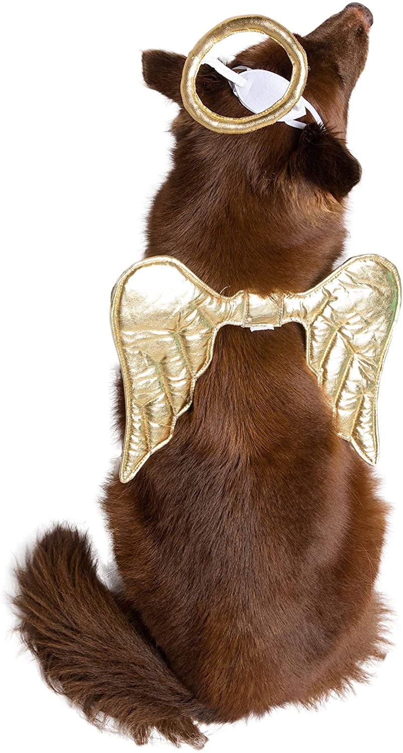 Pet Krewe Angel Dog Costume Wings & Cat Angel Costume Wings - Harness Attachment, One Size Fits All - Perfect for Halloween, Christmas Holiday, Parties, Photoshoots, Gifts for Dog & Cat Lovers