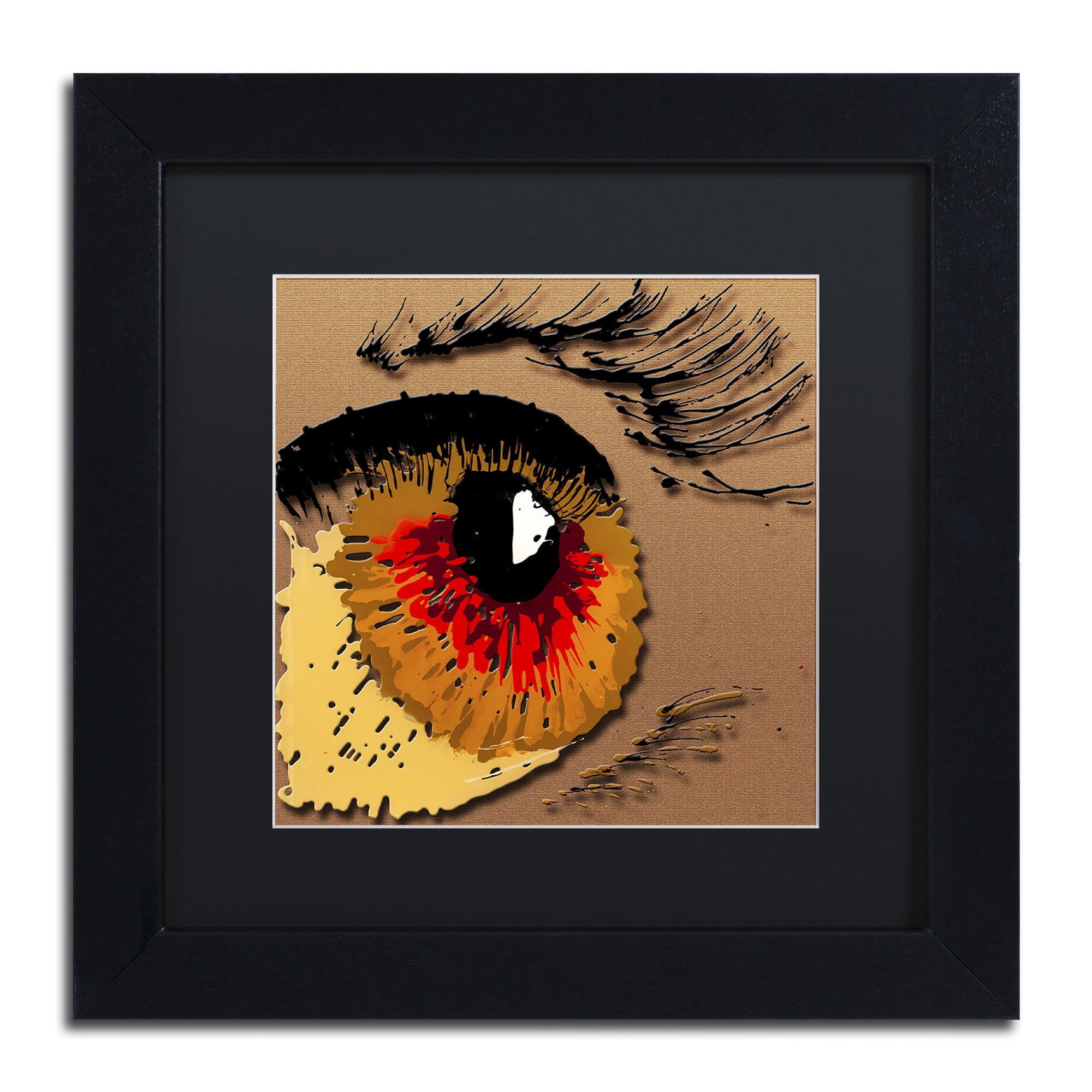 Trademark Fine Art "Eye 1" Canvas Art by Roderick Stevens, Black Matte, Black Frame