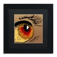 thumbnail image 2 of Trademark Fine Art "Eye 1" Canvas Art by Roderick Stevens, Black Matte, Black Frame, 2 of 5