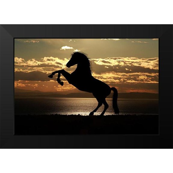 The Yellowstone Collection 14x11 Black Modern Framed Museum Art Print Titled - Shadow Dancer