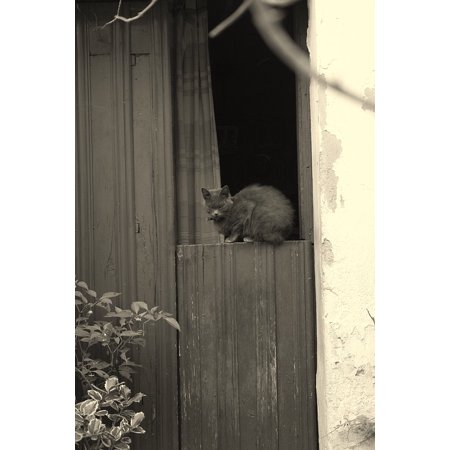 Canvas Print Cat Door Plasencia Black And White Stretched Canvas