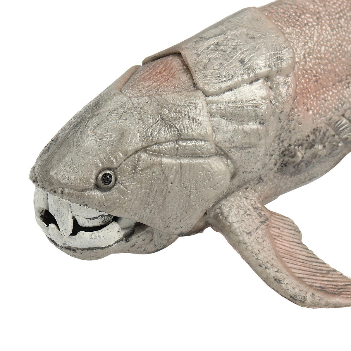 dunkleosteus figure
