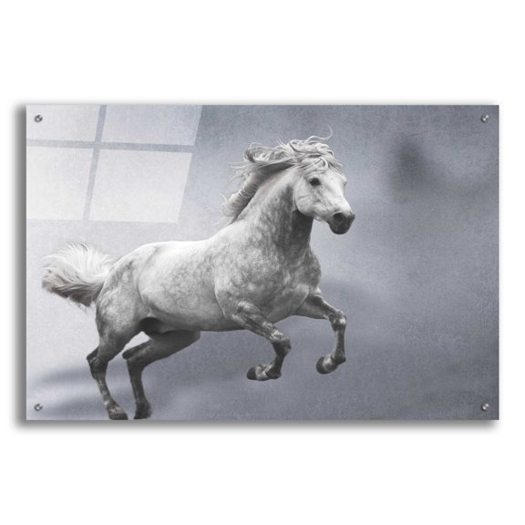 Epic Art 'grey on grey' by Susan Friedman, Acrylic Glass Wall Art, 36"x24"