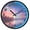 Forest and Sea, variant on Dailycode Night Light Wall Clock Glow in The Dark 12 inch Battery Operated Silent Luminous Clocks, Ship on Sea with Sunset