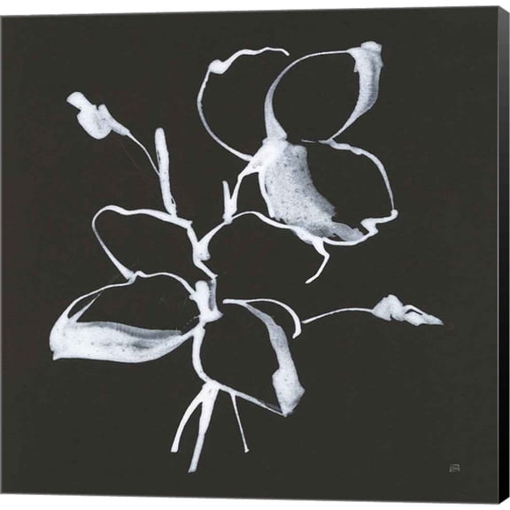 Great Art Now Wildflowers IV by Chris Paschke, Canvas Wall Art, 24W x 24H