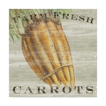 Trademark Fine Art 'Farm Fresh Carrots' Canvas Art by Sue Schlabach