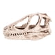 thumbnail image 5 of Rockyin Resina Cráneo del Dinosaurio Modelo simulado Esqueleto de Animal Home Office Decor Craft Enseñanza Prop, 5 of 14