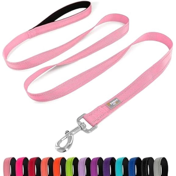 Eryueer Dog Leash 6 FT Padded Handle Nylon Reflective Dogs Leashes for Small Dogs Pink