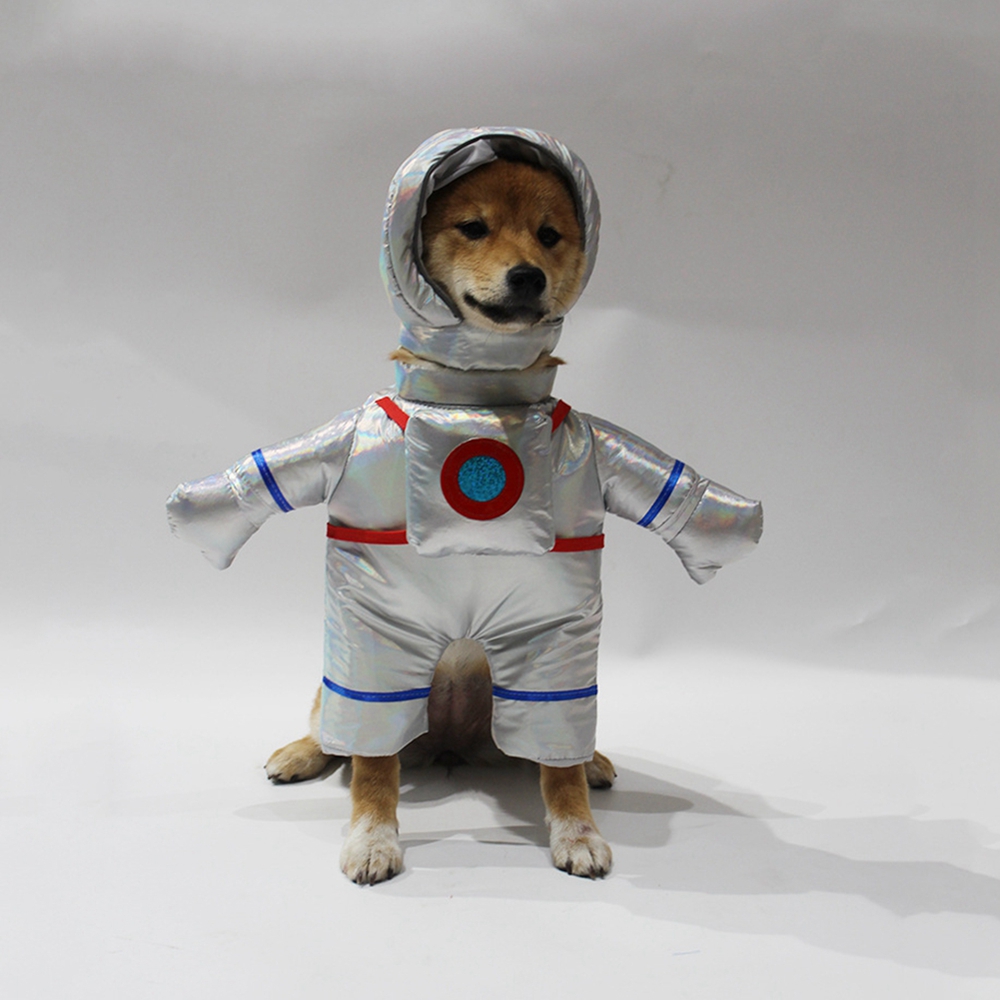 Dog In An Astronaut Costume At Zoe Walker Blog
