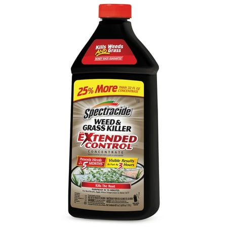 Spectracide Weed & Grass Killer With Extended Control Concentrate, 40-fl (Best Weed And Grass Killer Concentrate)