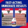 thumbnail image 4 of 1 Pc 30 Seconds Outdoor Cleaner 1 Gal. Concentrate Algae, Mold & Mildew Stain Remover, 4 of 8