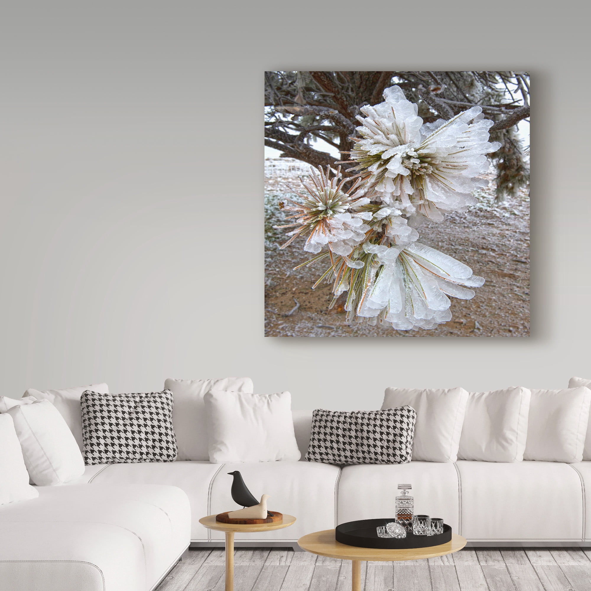 Trademark Fine Art 'Pine Needles and Ice' Canvas Art by Amanda Smith