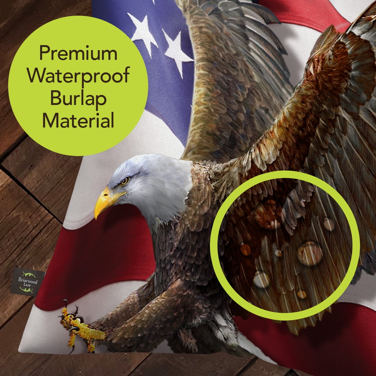 Briarwood Lane Everday Indoor/Outdoor Pillow 17x17 American Freedom Eagle For Everday Pillow