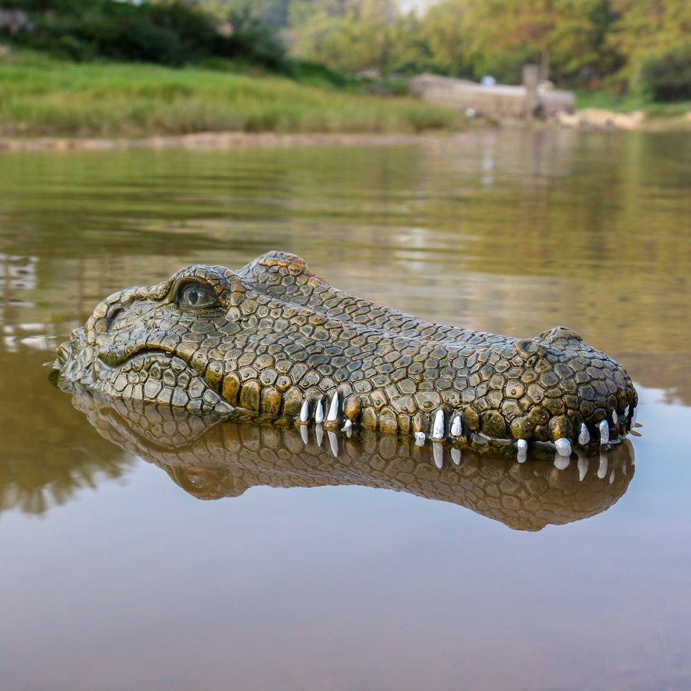 crocodile head rc