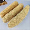 thumbnail image 2 of Paquete de 3 esponjas de lufa de baño naturales, esponjas de ducha de lufa orgánicas grandes, exfoliantes para el cuerpo y la espalda para el cuidado personal diario (23-27 cm) JM, 2 of 5