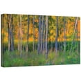 thumbnail image 3 of Antonio Raggio 'Stumpy Basin' Gallery-Wrapped Canvas, 3 of 3
