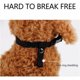 thumbnail image 3 of Bozal de nailon ajustable para perros, 18-24 cm, para perros pequeños y medianos - Seguridad antiladridos, 3 of 5
