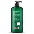 thumbnail image 2 of Botanic Hearth Eucalyptus & Tea Tree Body Wash - 16 fl oz - Helps Soothe Skin, Refreshing and Invigorating, Cleansing Shower Gel for Men and Women - Sulfate Free, Paraben Free, 2 of 9