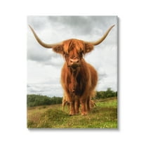 Stupell Industries Highland Cattle Long Horns Grazing Farm Ranch Photograph Gallery Wrapped Canvas Print Wall Art, Design by James Dobson