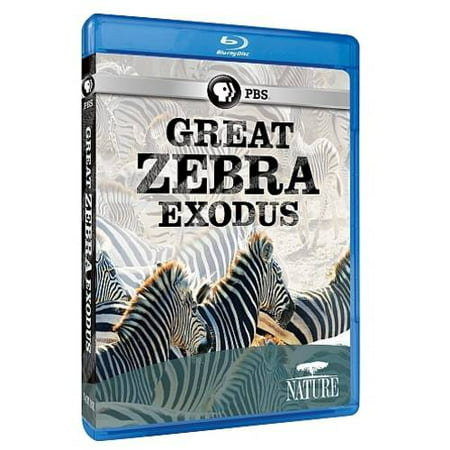 Nature: Great Zebra Exodus (Blu-ray)